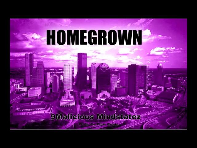 9Malicious Mind$tatez (9MM) - Homegrown (H-Town)