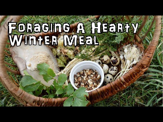 Foraging for a Hearty Winter Soup in January