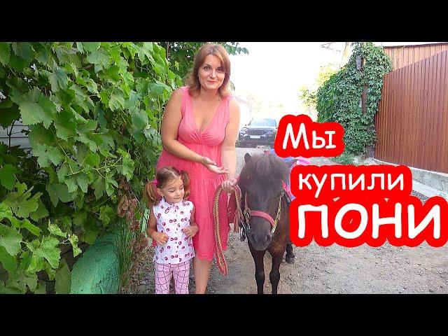 VLOG Мы купили пони