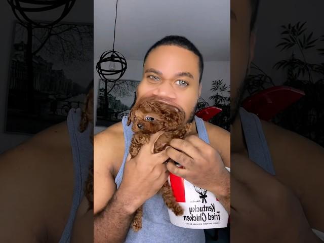 So juicy! #funny #comedy #memes #puppy #viralvideo #cute #petsrule