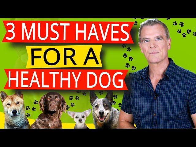 How To Keep Your Dog Healthy Naturally (3 KEY Steps To A Healthy Dog)