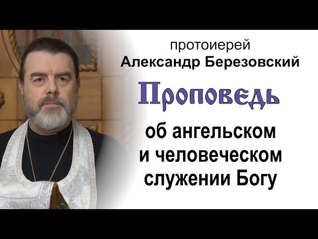 Проповедь об ангельском и человеческом служении Богу (2024.11.20). Протоиерей Александр Березовский