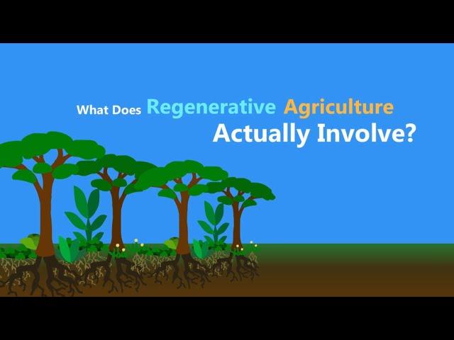 What is Regenerative Agriculture?