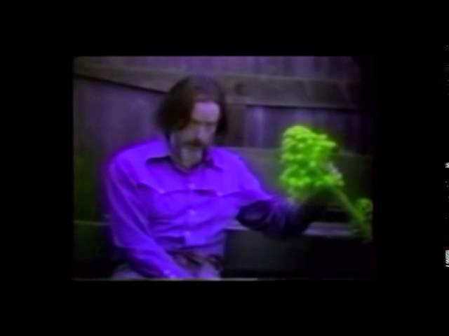 Alan Watts Work as Play