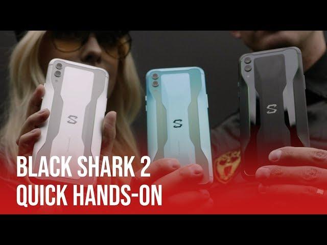 Black Shark 2 | Hands On