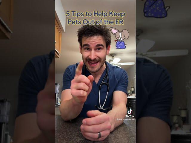 Tips from an ER Vet to Help Keeps Pets Out of the ER.