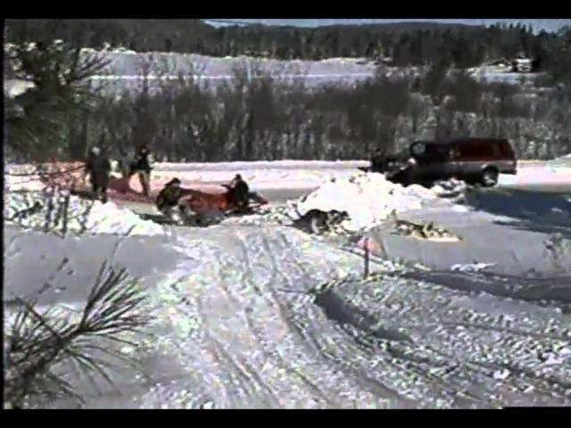 Sled Dog Crash Short 1995