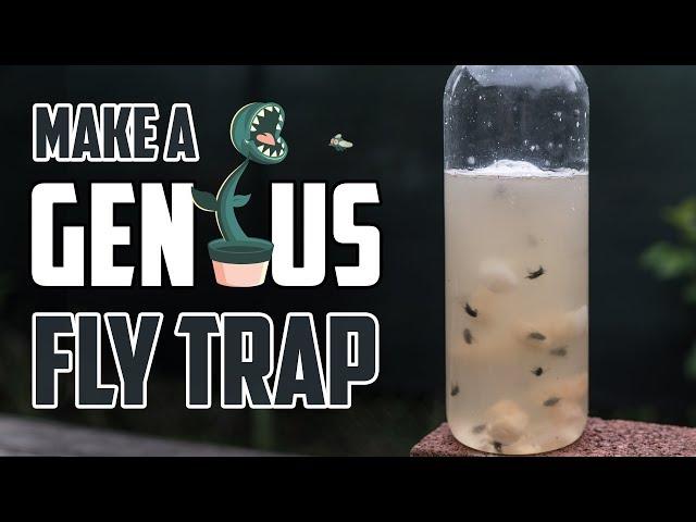 Make a Genius Fly Trap! (Get Rid of Flies For Good)