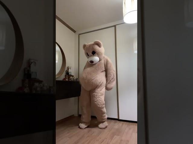 작은 거 왔다... 곰은 새삥