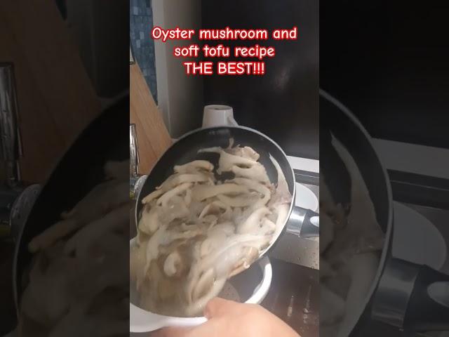 Oyster mushroom and soft tofu recipe! #shortvideo #shorts #short #shortsvideo #mushroom #mushrooms