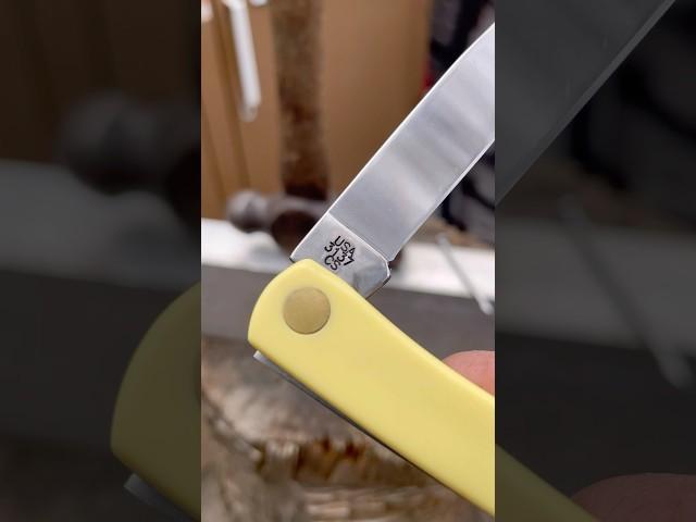 Not the CASE! #shorts #knifestuffwedo #sodbuster #case #knifetest #folder