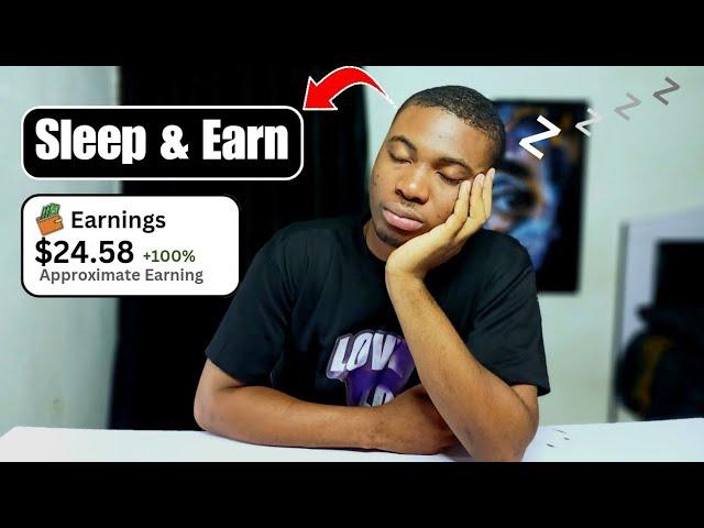 Earn $24.15 Online While You Sleep Passive Income (Nigeria)