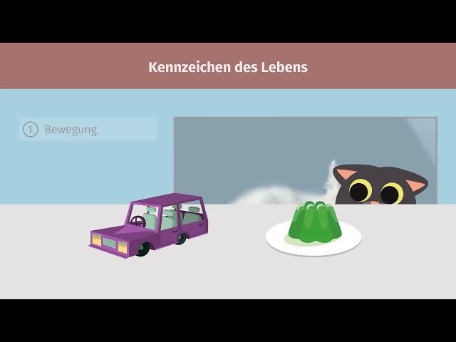 Kennzeichen des Lebens einfach erklärt | sofatutor