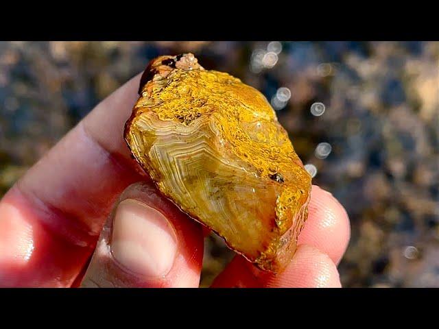 Agate Hunting along the North Shore of Lake Superior