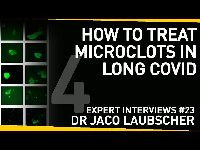 How To Treat 'Microclots' in Long Covid | With Dr Jaco Laubscher