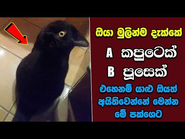 මේවා නොදකින දෑස කුමටද ? EP:91