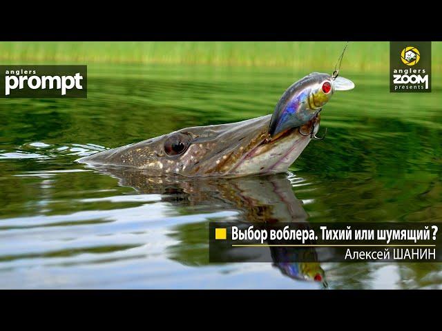 Выбор воблера. Тихий или шумящий? Алексей Шанин. Anglers Prompt