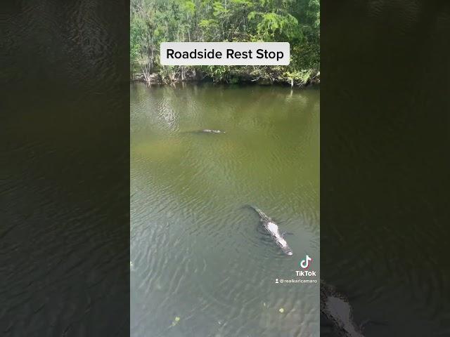 Rest stop #traveling #bucketlist #florida #walking #biking #hiking #adventure #scenery #photography