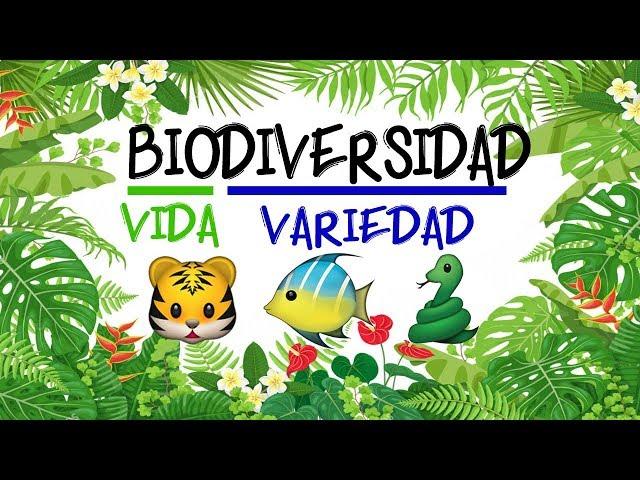  ¿Qué es la BIODIVERSIDAD?  [Fácil y Rápido] | BIOLOGÍA |