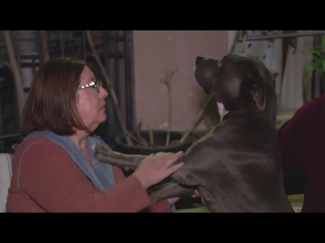 Burbank family's dog faces euthanasia order