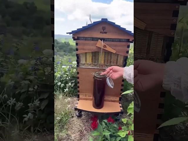 He Built a New Home For the Bees ️