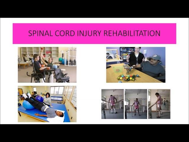 THE BEST TREATMENT FOR SPINAL CORD INJURY IN IPOH