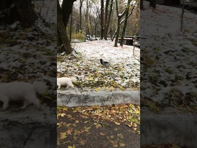 Ты куда? Не уходи..