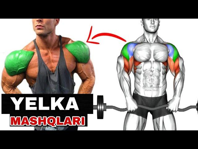 How to build huge shoulders.