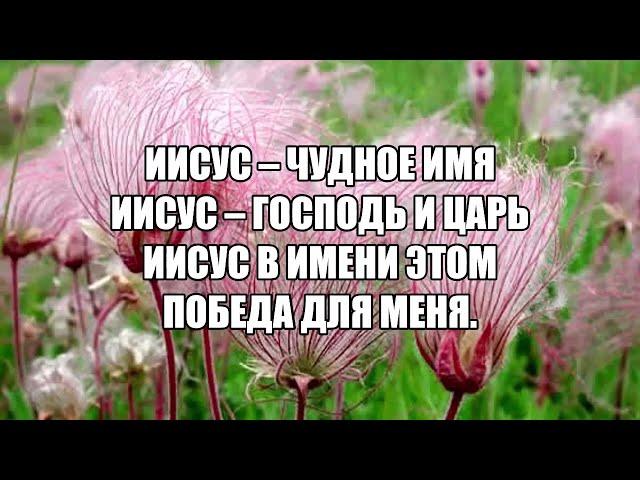 Иисус -- Чудное Имя (хвала)