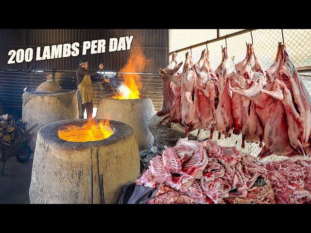 RARE SEEN Mountain BBQ Factory in Uzbekistan - Street food in Samarkand, Uzbekistan