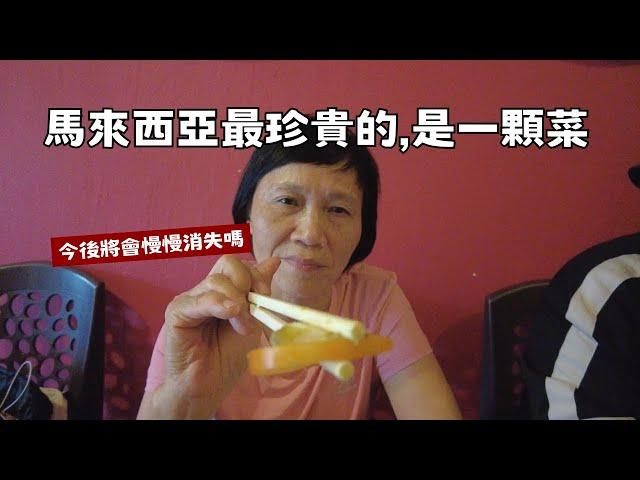 60歲中國大媽初登馬來西亞：中國消失的東西在這裏找到了