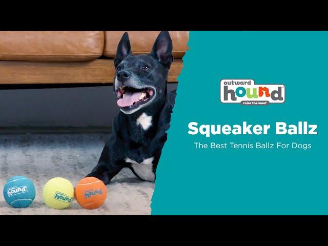 Outward Hound Squeaker Ballz - The Best Tennis Balls For Dogs