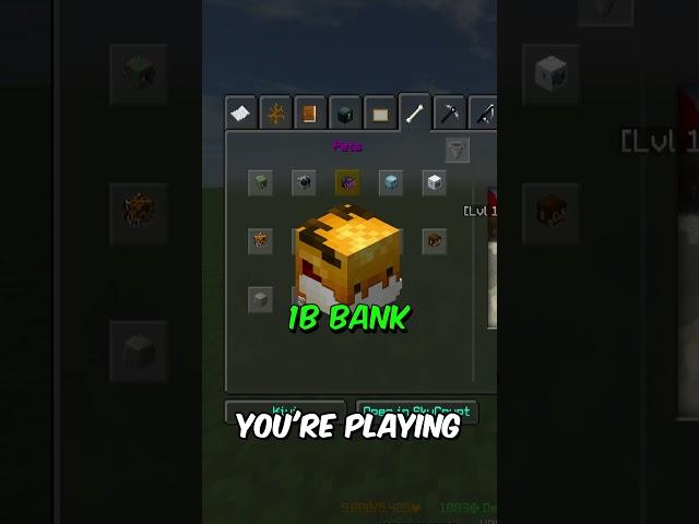 Endgame Player Reviews Your Profiles! [63] #minecraft  #hypixel   #skyblock    #yadi