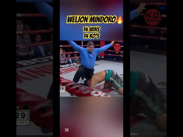Weljon Mindoro vs. Omar Munguia