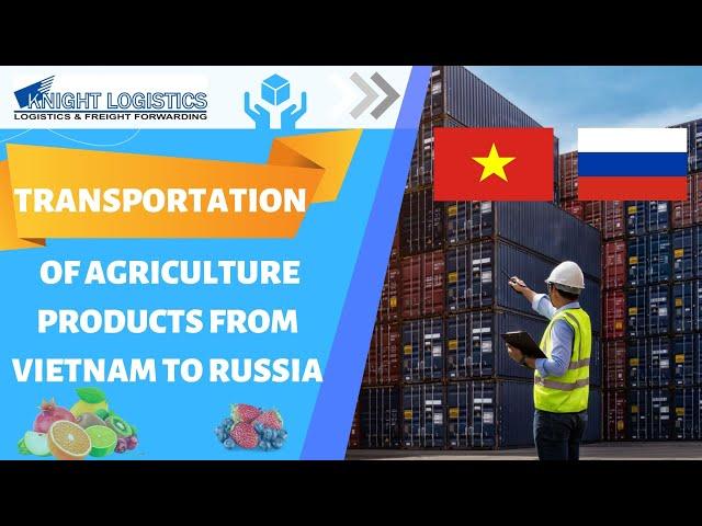 Reliable Transportation Services from Vietnam to Russia | Knight Logistics