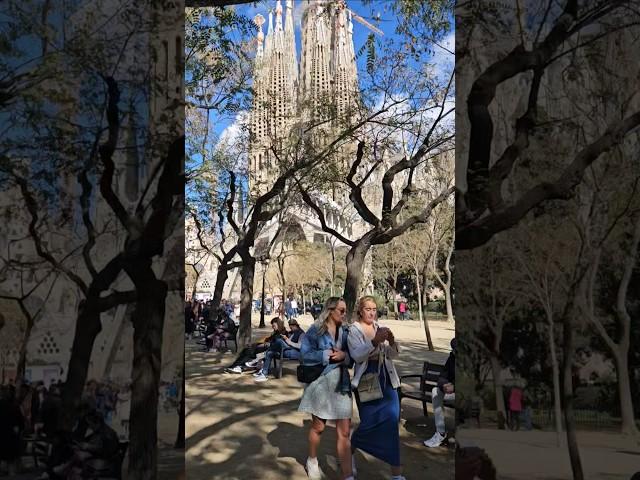 Serene Views : Sagrada Família from the Park