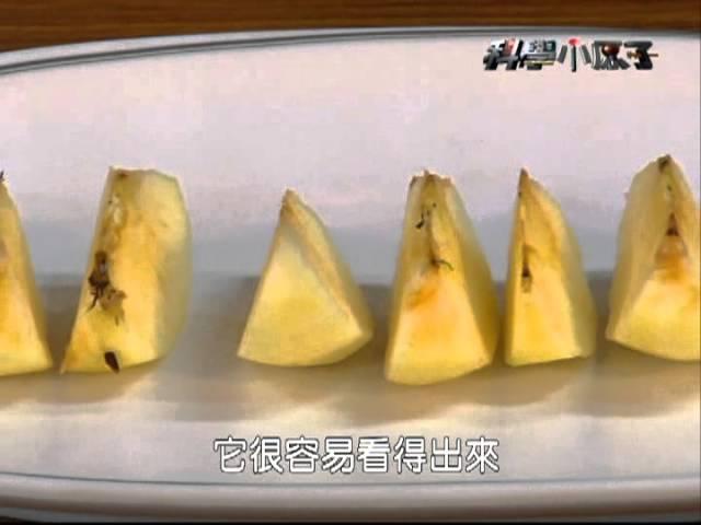 科學小原子 #69  賽德克族 燻肉