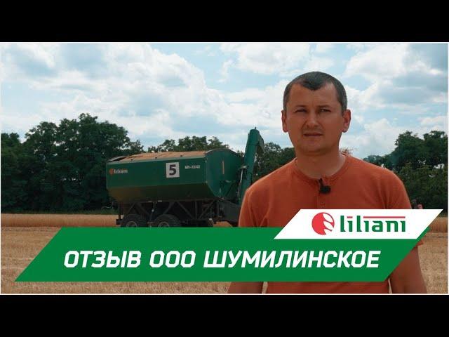 Бункер-перегрузчик Лилиани на уборке в ООО Шумилинское 2022