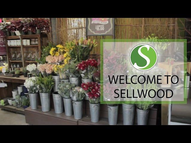 Portland Real Estate Agent: A Tour of Sellwood