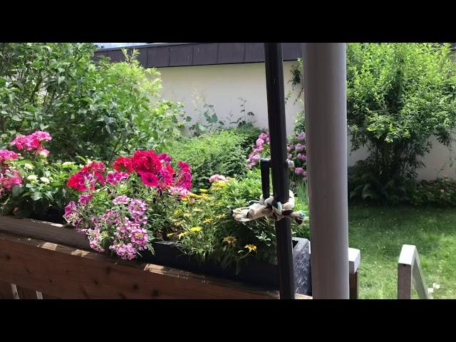 Euro Vacation VLOG AJBFAM Tante Inge House in Ravensburg