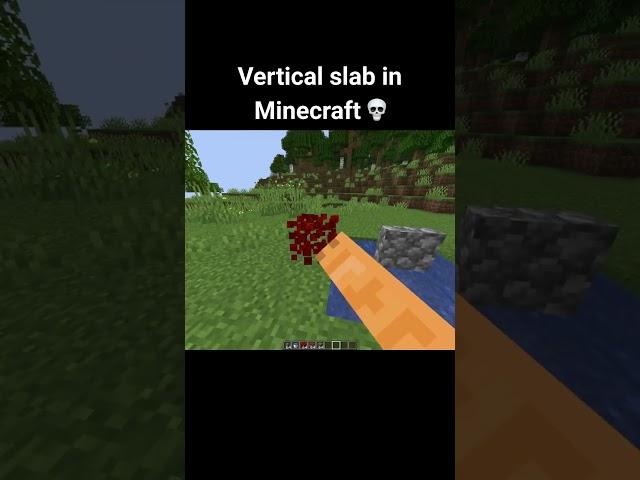 Minecraft vertical slab moment