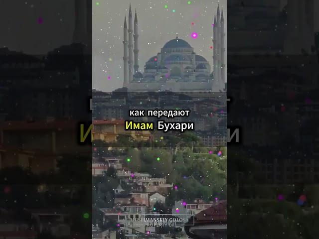 Лёгкое садака: делать добро каждый день #ЛёгкоеСадака #ДелаемДобро #МотивацияИслама