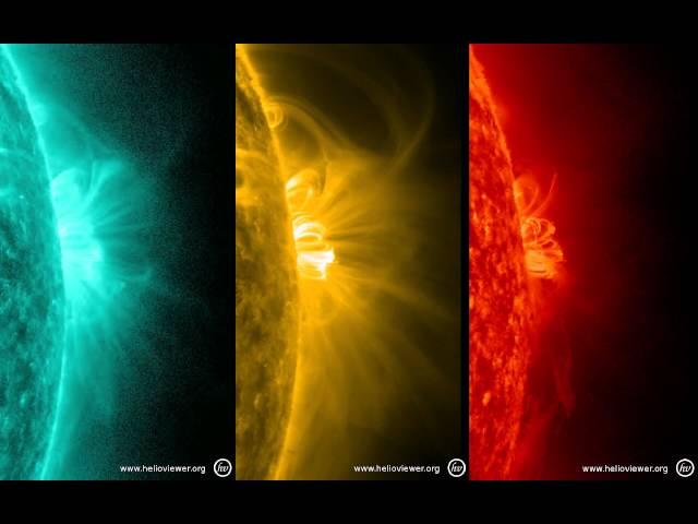 Lovely Little Flaring Loops