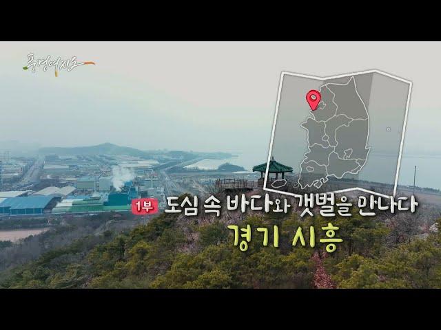 [풍경여지도] 도심 속 바다와 갯벌을 만나다 - 경기 시흥 1부 / 연합뉴스TV (YonhapnewsTV)