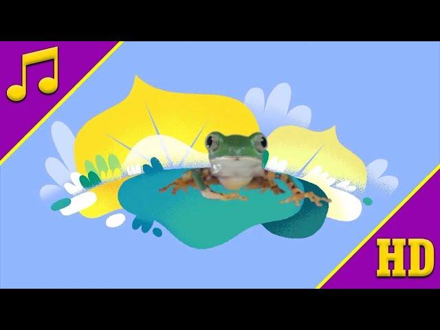 Amazing Frog (Sing-Along) | StoryBots