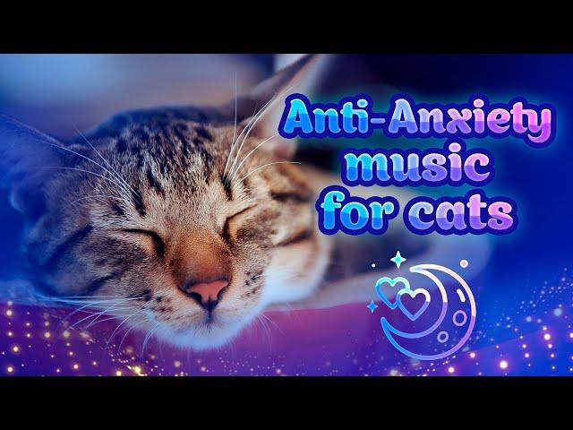 Healing Music For Sick Cats  Calming 432hz CAT MUSIC for relaxation