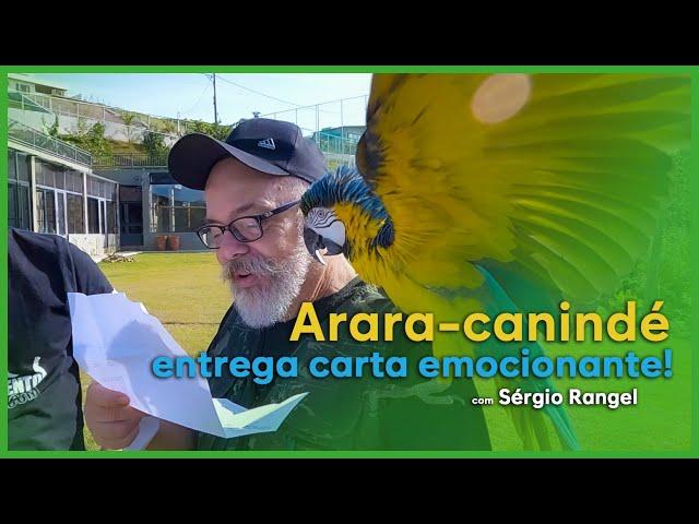 Gratidão em forma de homenagem! | com Sérgio Rangel