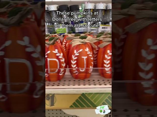 Dollar Tree Find: Pumpkins with Letters