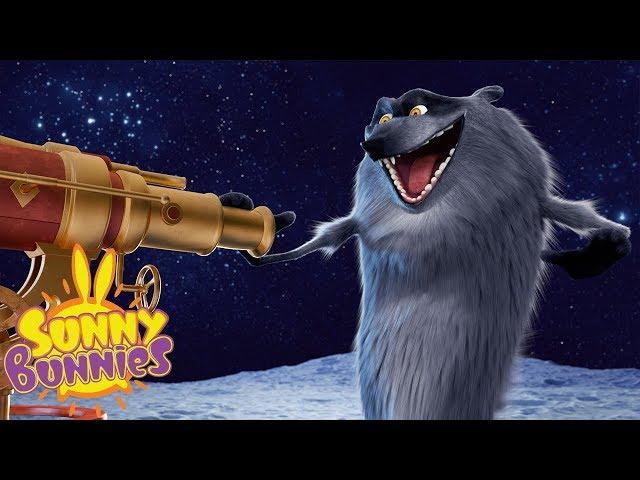 Cartoons for Children | SUNNY BUNNIES - THE BIG WOLF | Funny Cartoons For Children