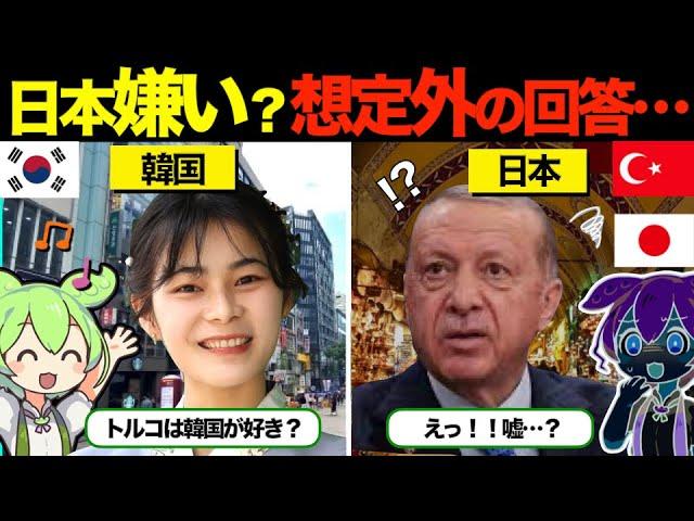 【海外の反応】「トルコは韓国の兄弟国なの！」韓国人がトルコ旅行でアンケート！！現地民の本音に言葉を失ってしまう…。【ずんだもん×ゆっくり解説】